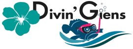 https://divingiens.fr/