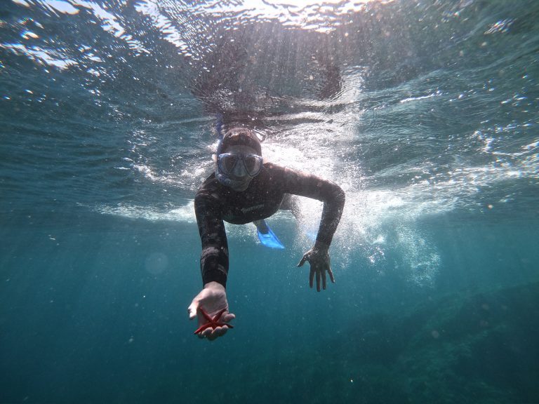 Randonnée palmée / snorkeling école d'apnée