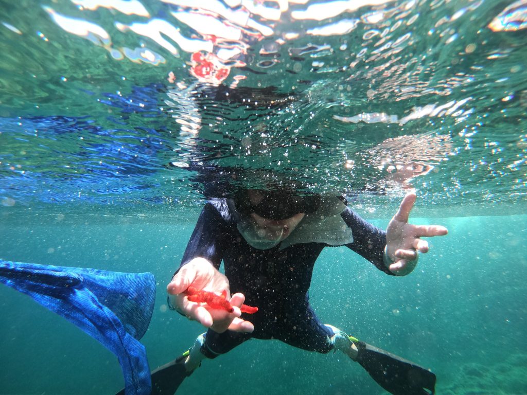 Snorkeling enfants randonnée palmée Hyères