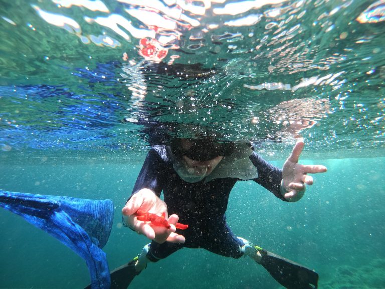 Snorkeling enfants randonnée palmée Hyères