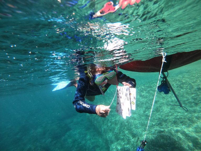 Snorkeling enfants randonnée palmée Hyères