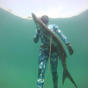 stage chasse sous-marine jean-luc casares niveau 3 chasse sous-marine ffessm