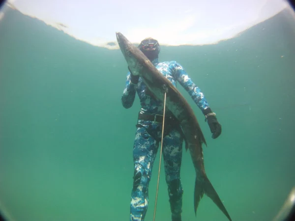 stage chasse sous-marine jean-luc casares niveau 3 chasse sous-marine ffessm