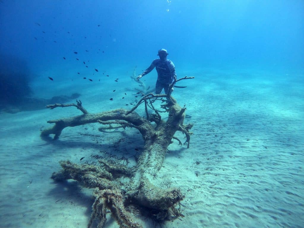 Freediver PADI Jean-Luc Casares apnée chasse sous-marine école internationale d'apnée sirène 