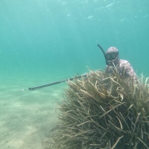 Stage chasse sous-marine