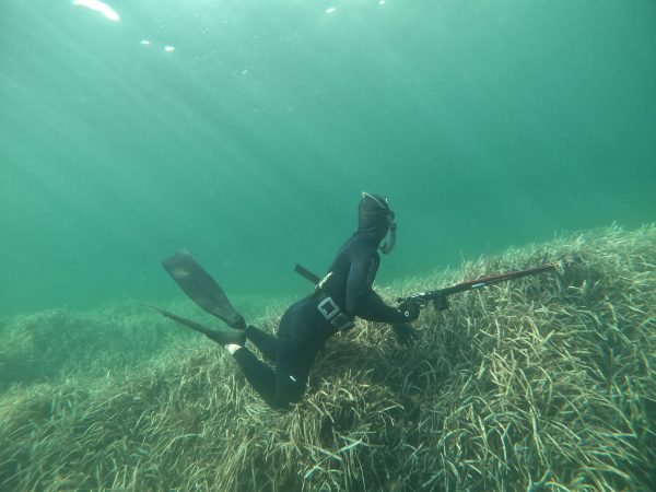 Stage chasse sous-marine