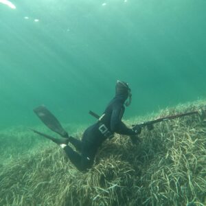 Stage chasse sous-marine