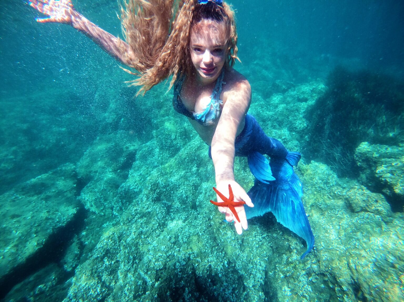Belle surprise de fin de journée. Une étoile de mer, s'invite pour la photo ! école apnée france
