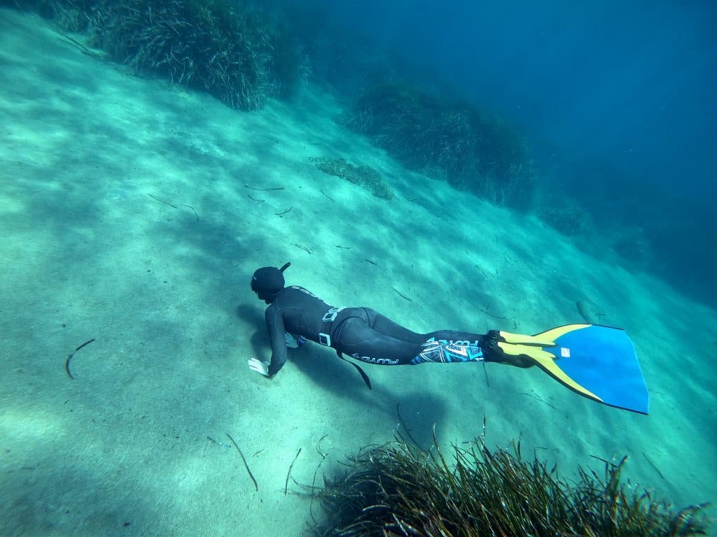 master freediver PADI apnée niveau 4