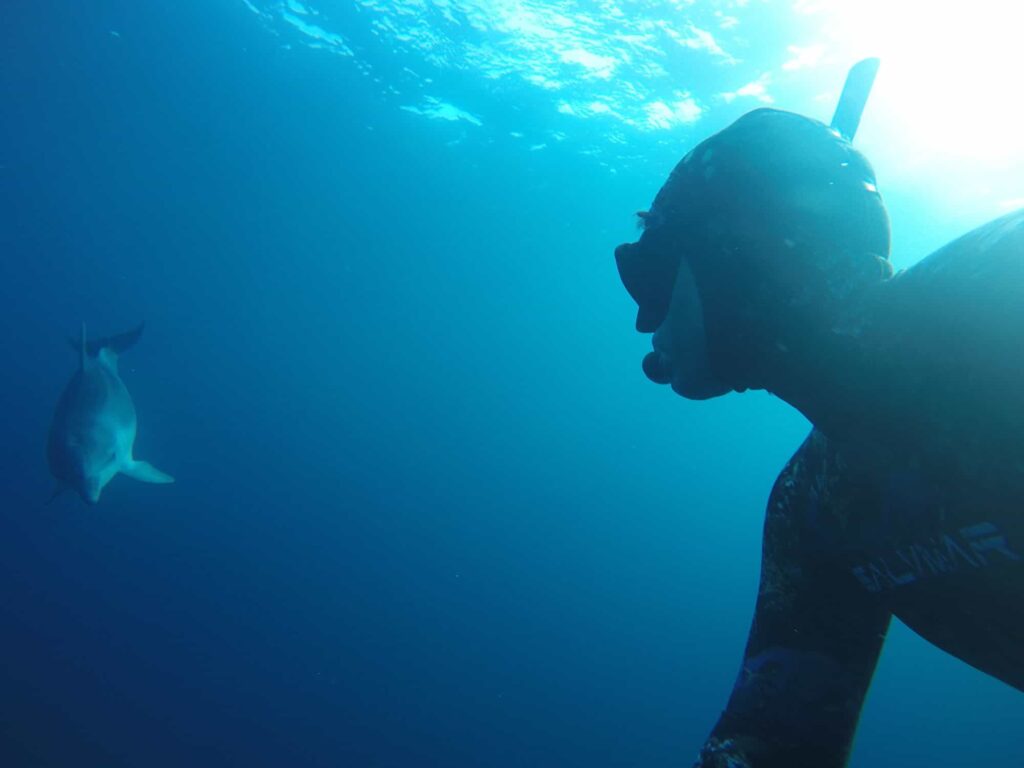 Apnée avec un dauphin Jean-Luc Casares Hyères