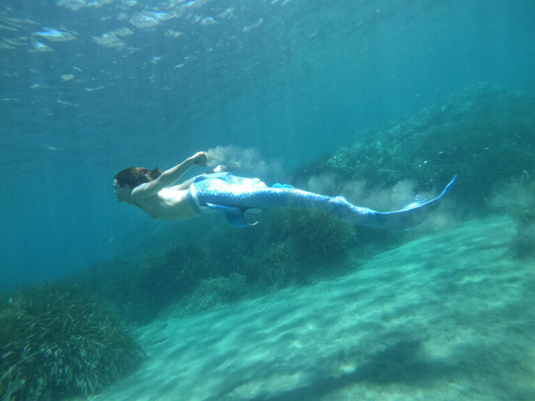 triton mermaid école de sirène