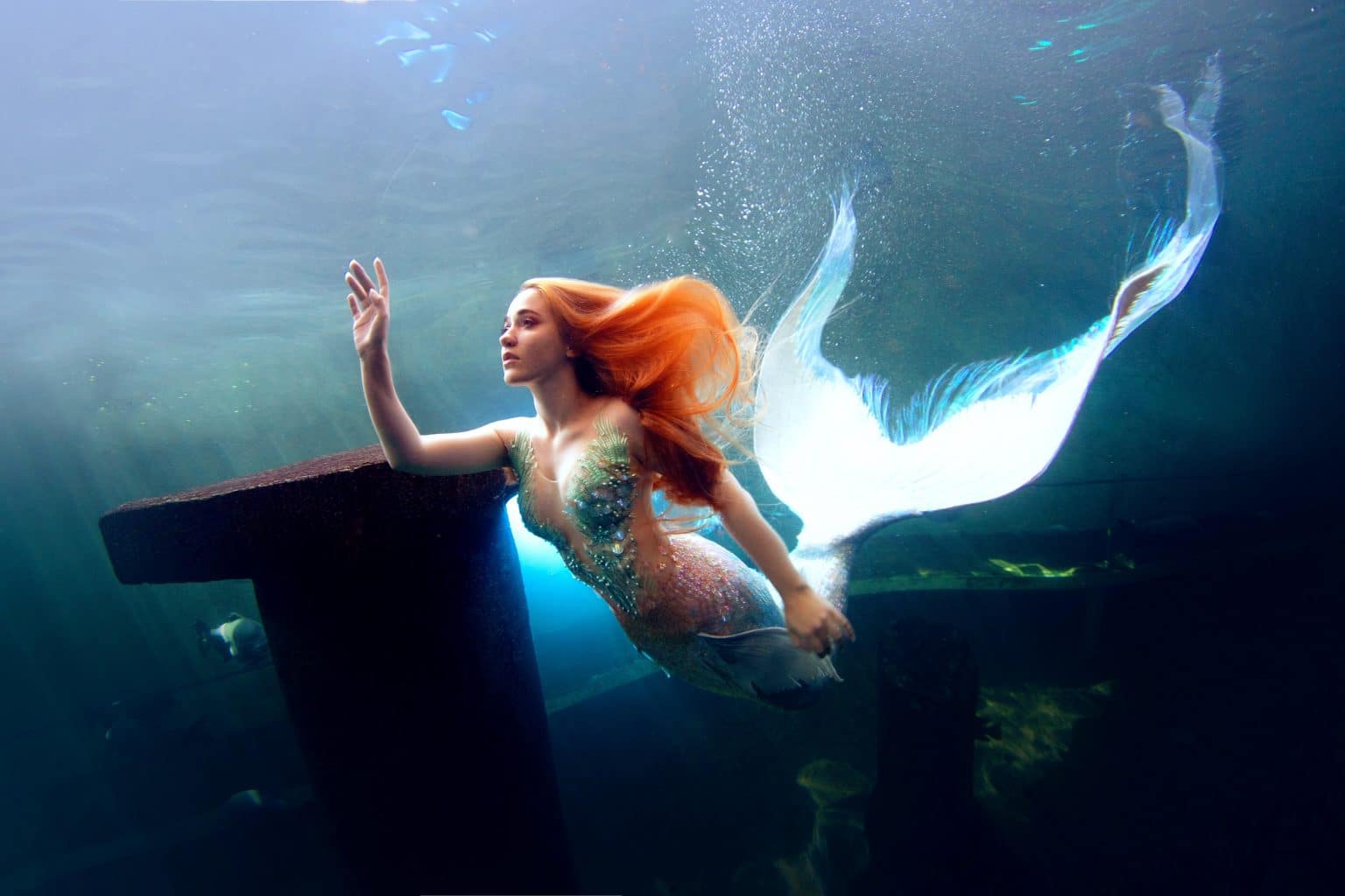 lexie mermaid école apnée france
