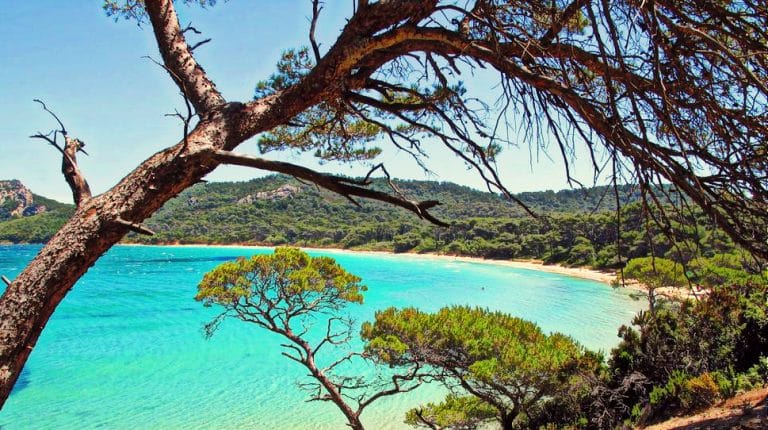 Location de bateau hyères plage notre dame porqerolles