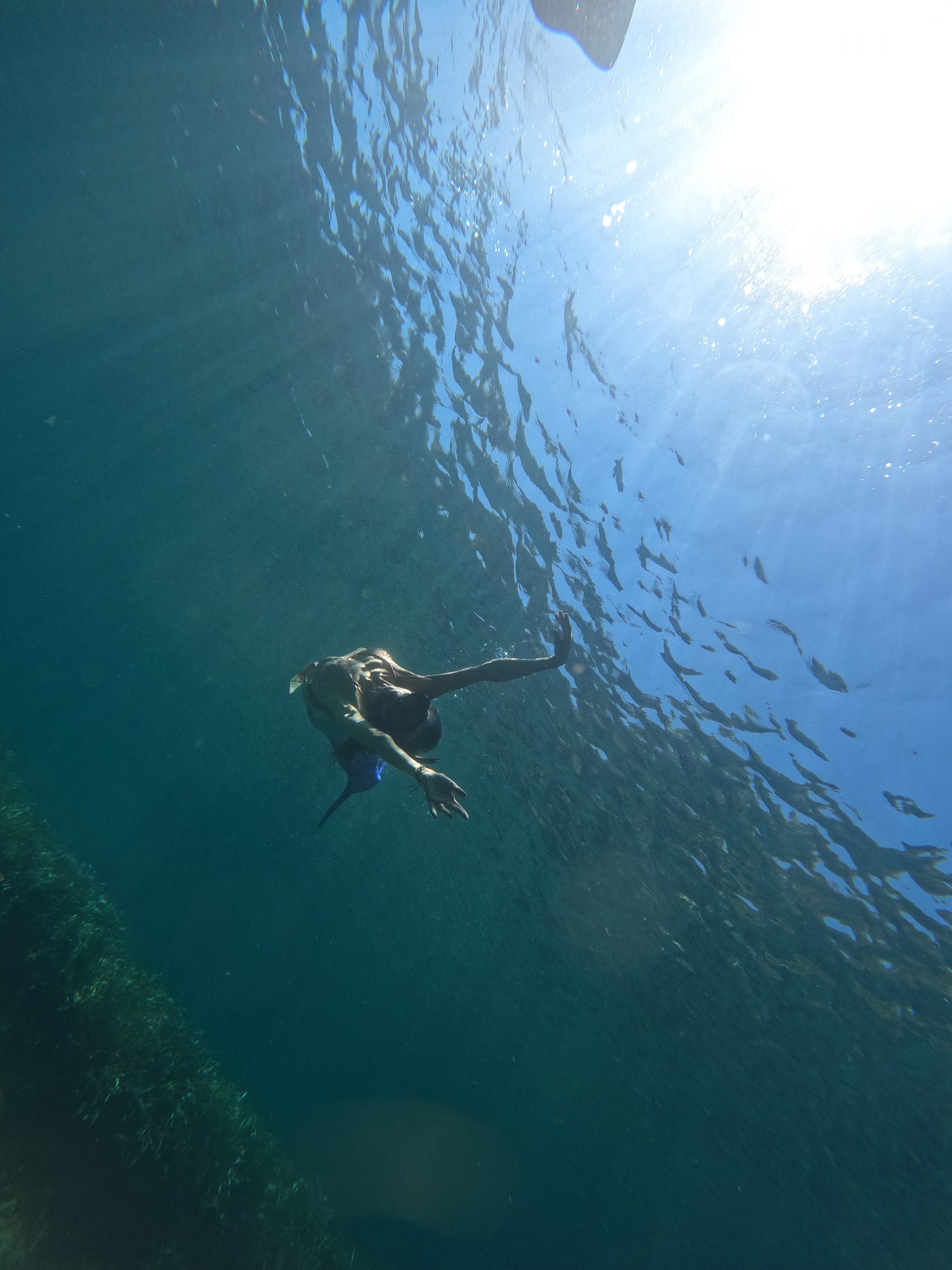 Formation sirène
Apnée sirène
Mermaid PADI
Ecole de sirène france