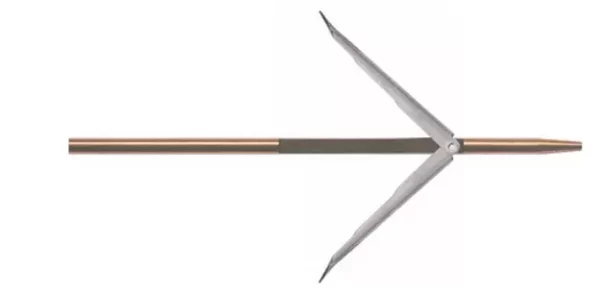 flèche double ardillon